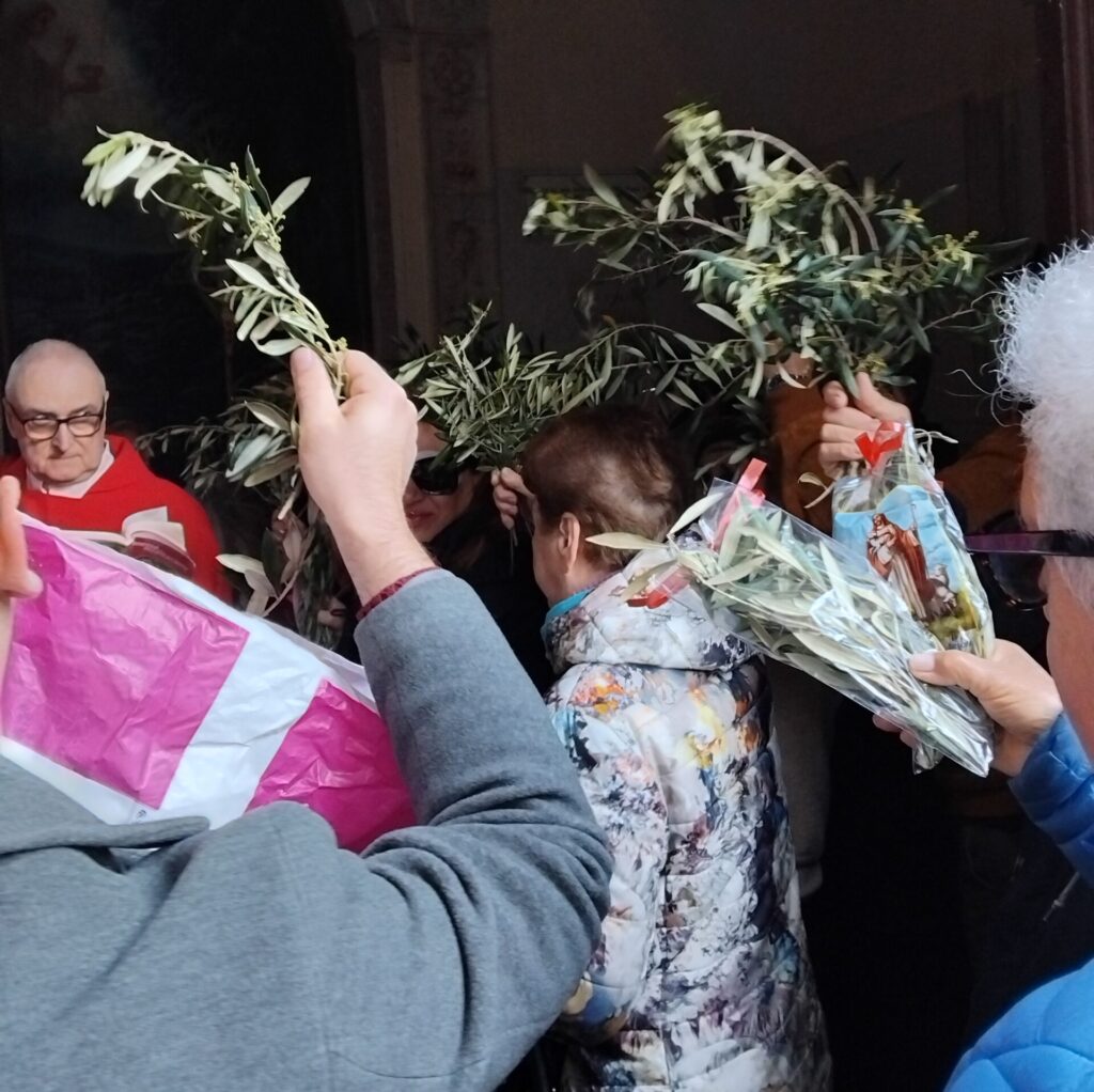 La Benedizione delle Palme