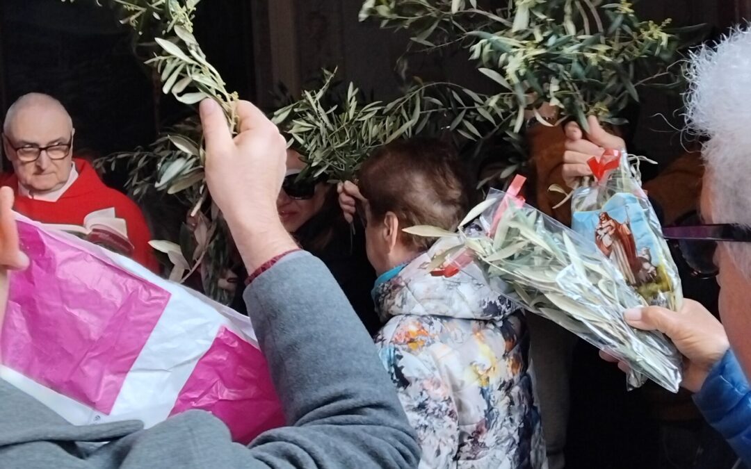 La Benedizione delle Palme
